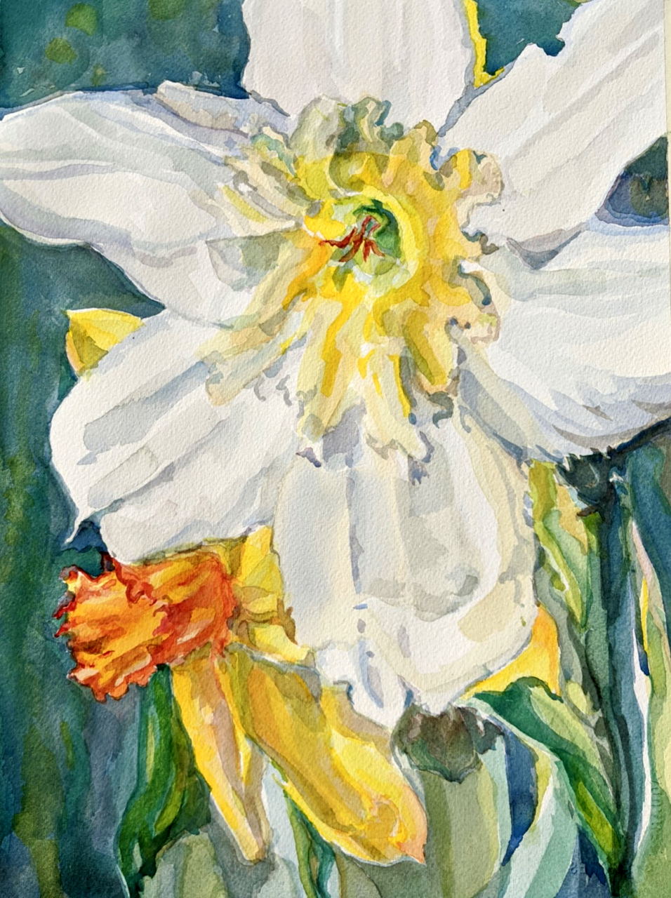 Beth Mastin - Daffodils