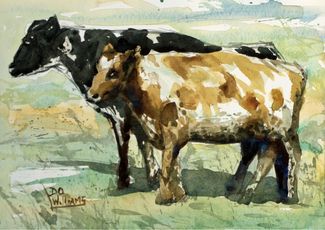 David O Williams - Two Cows