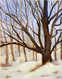 My Oak in Winter - Peg Ginsberg