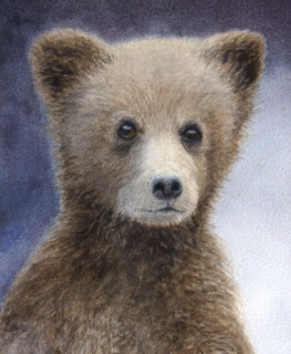 Curious Cub - Cary Hunkel