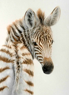 Innocence - Cary Hunkel