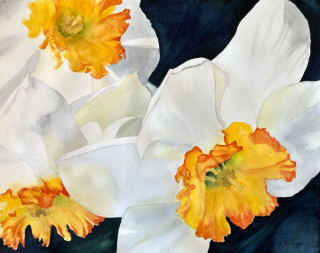 Anitia Matcha - Daffodils 