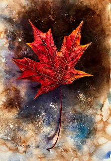 Maple Leaf - Kent Parks
