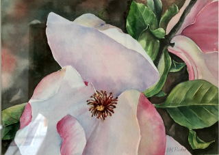 Magnolia- Mary Kay Ruder