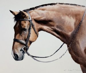 With Every Shadow There is a Light