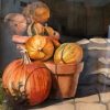 Autumn Pumpkins